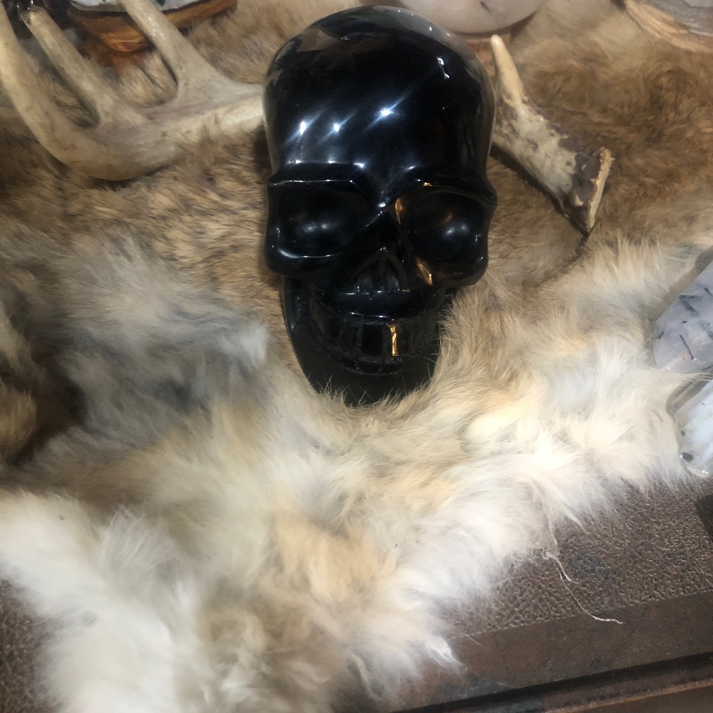 OBSIDIAN  SKULL  2.8 lbs 3 L 4 across